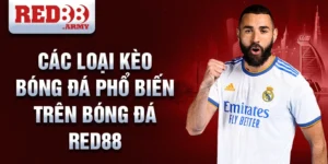 Các loại kèo bóng đá phổ biến trên bóng đá red88