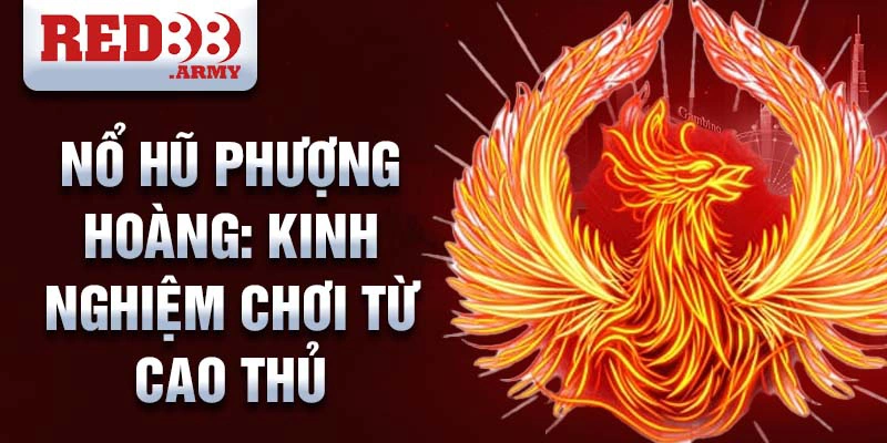 Nổ hũ phượng hoàng: kinh nghiệm chơi từ cao thủ